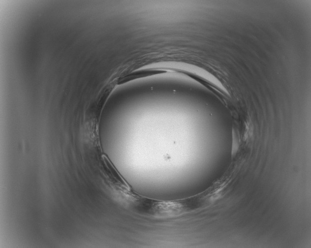 X0000053010429200507151952