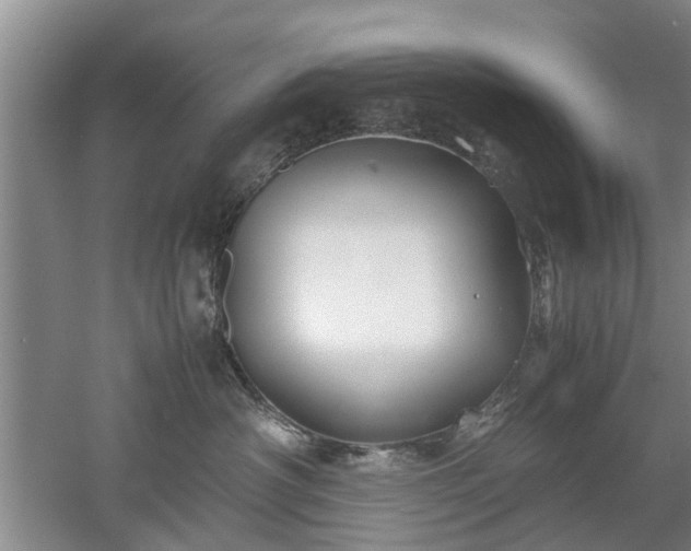 X0000053010430200507151952