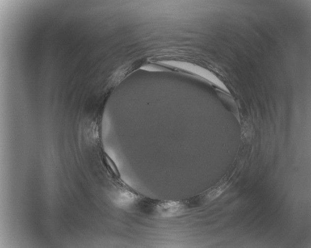 X0000053010431200507151952