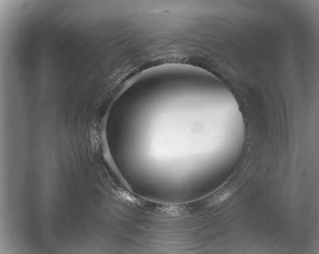 X0000053010432200507151952