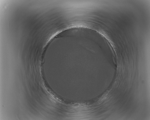 X0000053010434200507151952