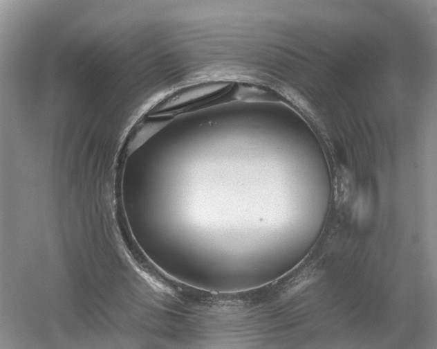 X0000053010438200507151952