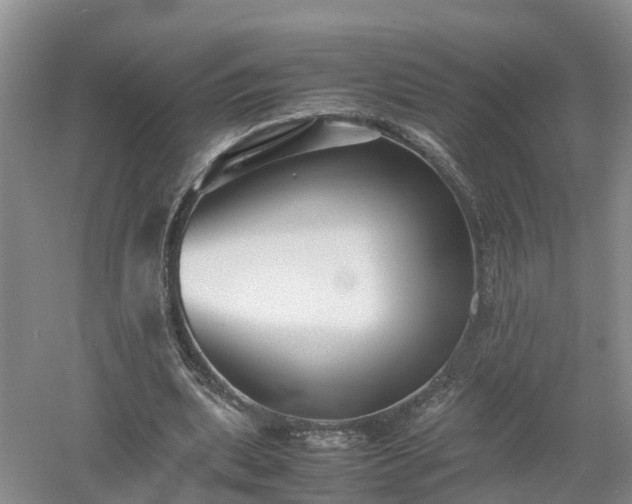 X0000053010439200507151952