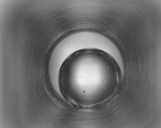 X0000053010448200507151952