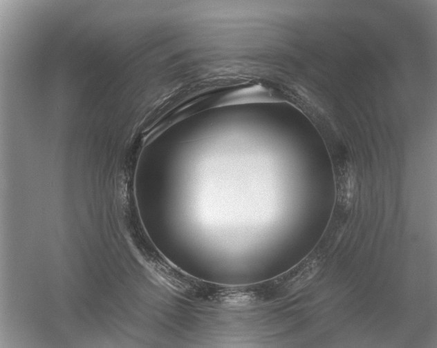 X0000053010456200507151952