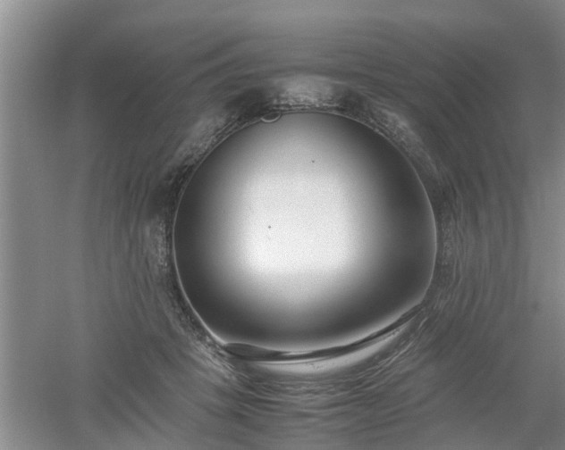 X0000053010457200507151952