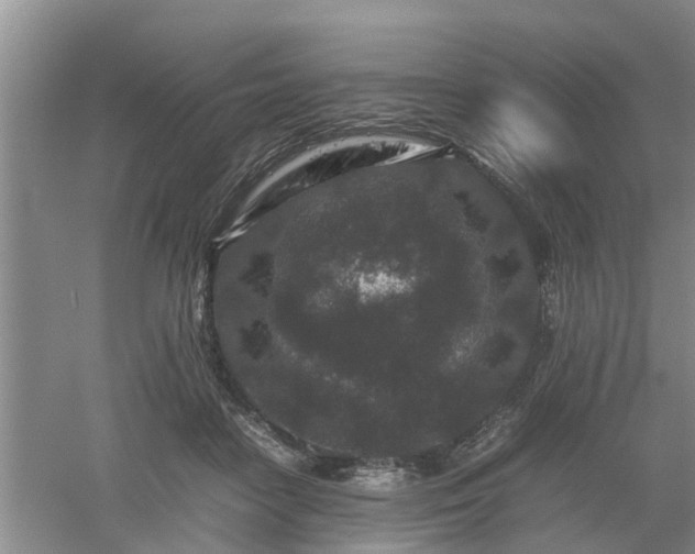 X0000053010458200507151952