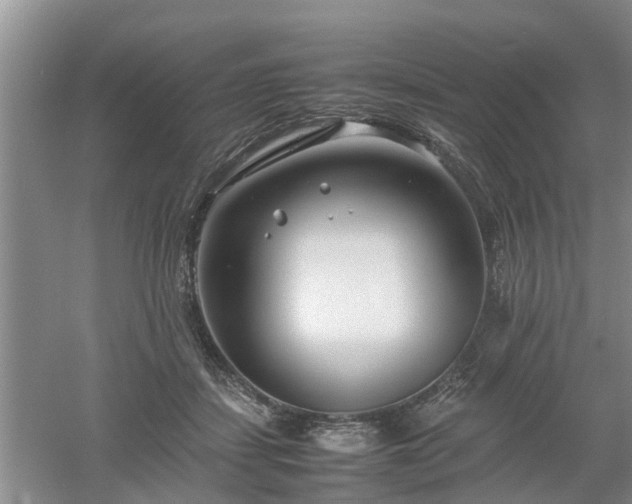 X0000053010459200507151952