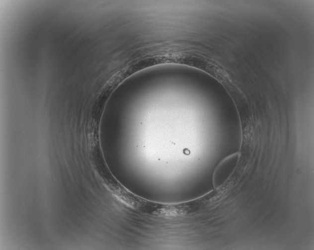 X0000053010464200507151952