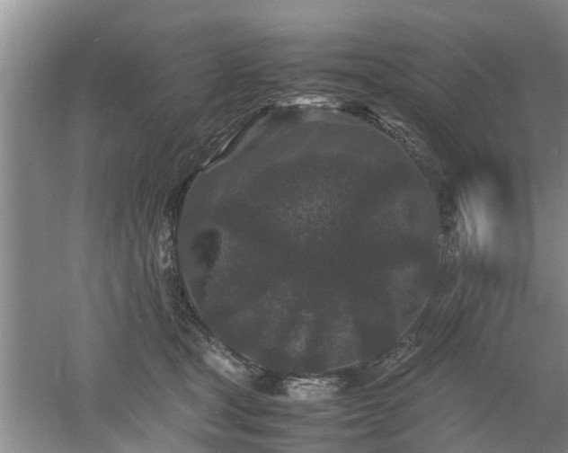 X0000053010465200507151952