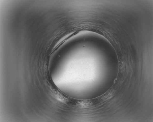 X0000053010466200507151952