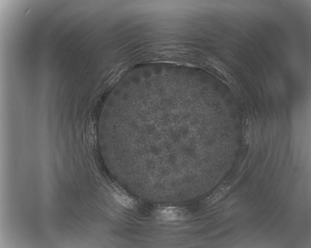 X0000053010467200507151952