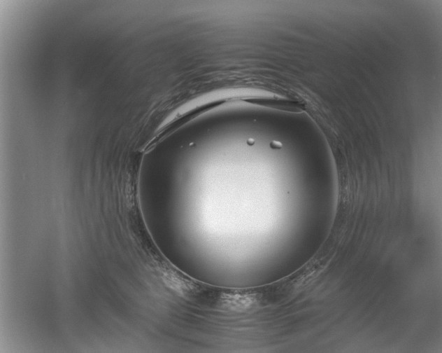 X0000053010469200507151952