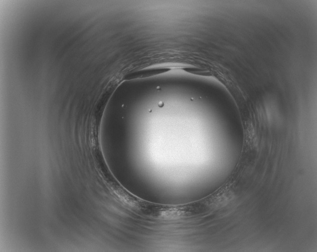 X0000053010470200507151952