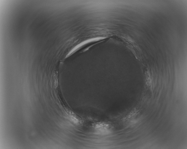 X0000053010471200507151952