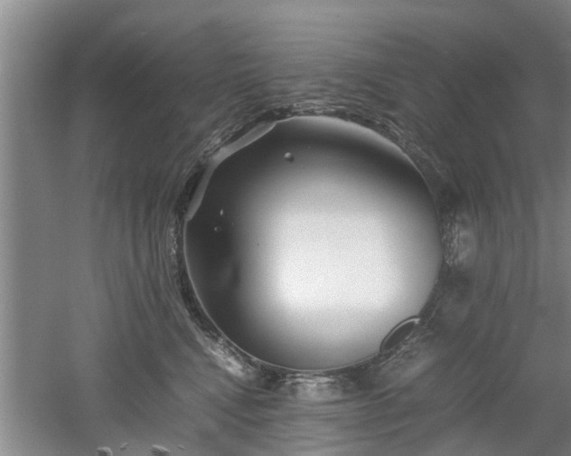 X0000053010472200507151952