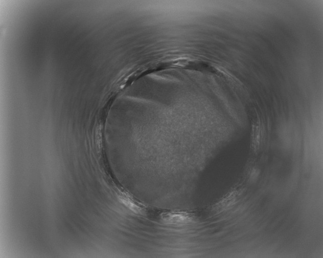 X0000053010475200507151952