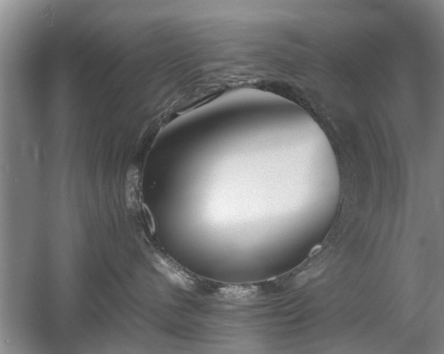 X0000053010480200507151952