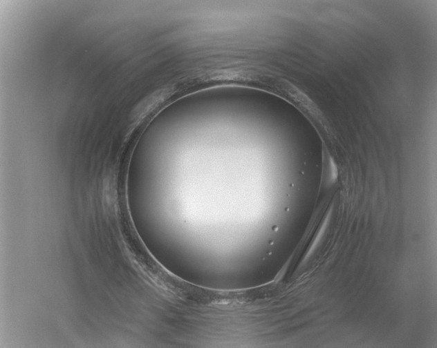 X0000053010482200507151951