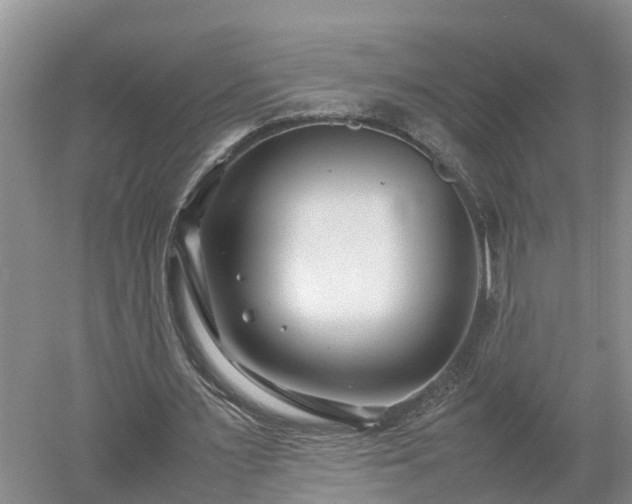 X0000053010483200507151951