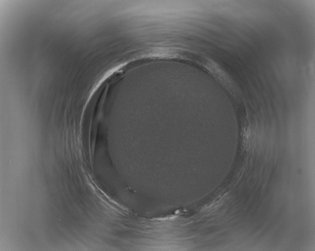 X0000053010484200507151951