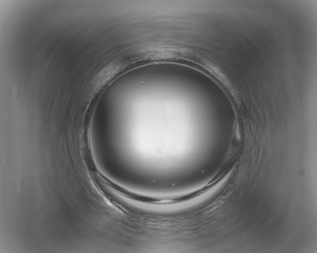 X0000053010485200507151951