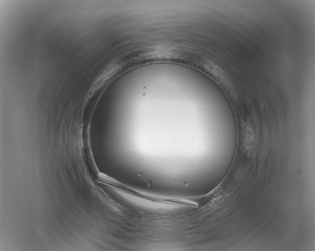 X0000053010486200507151951