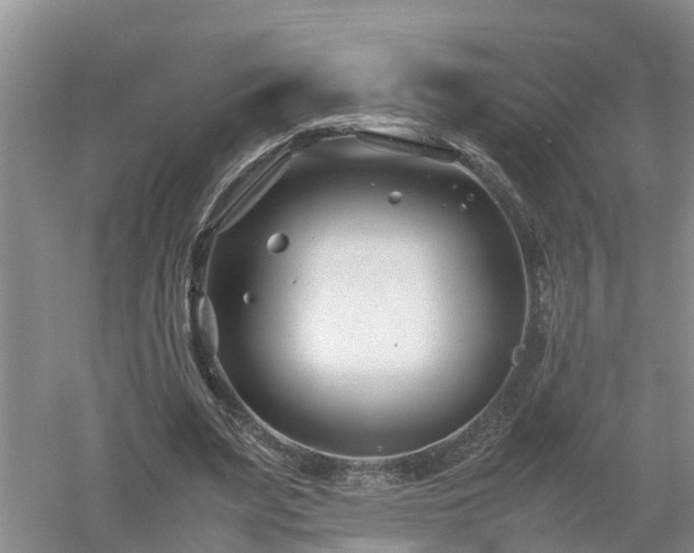 X0000053010487200507151951