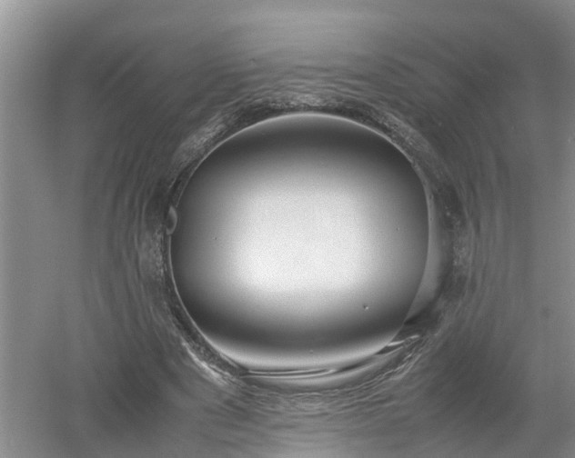 X0000053010489200507151951