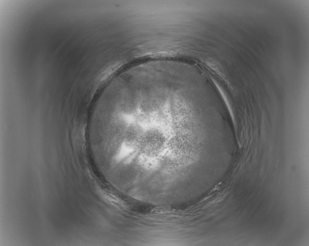 X0000053010491200507151951