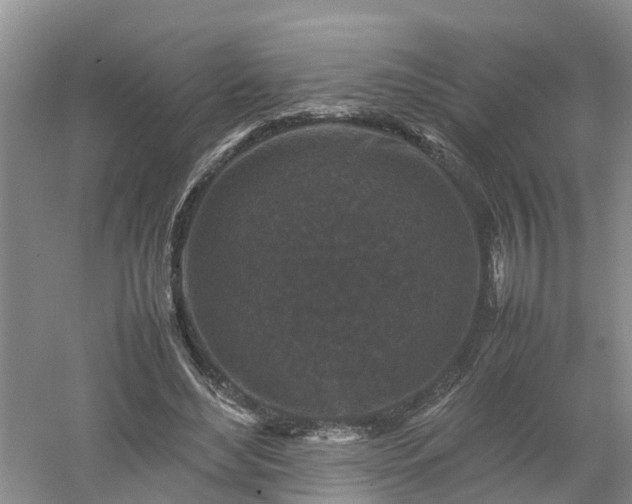 X0000053010492200507151951