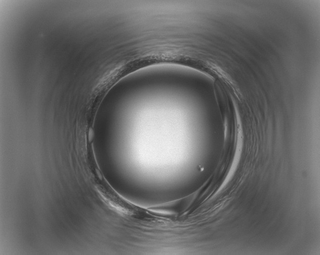 X0000053010493200507151951