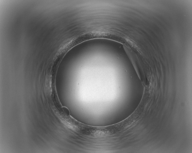 X0000053010494200507151951