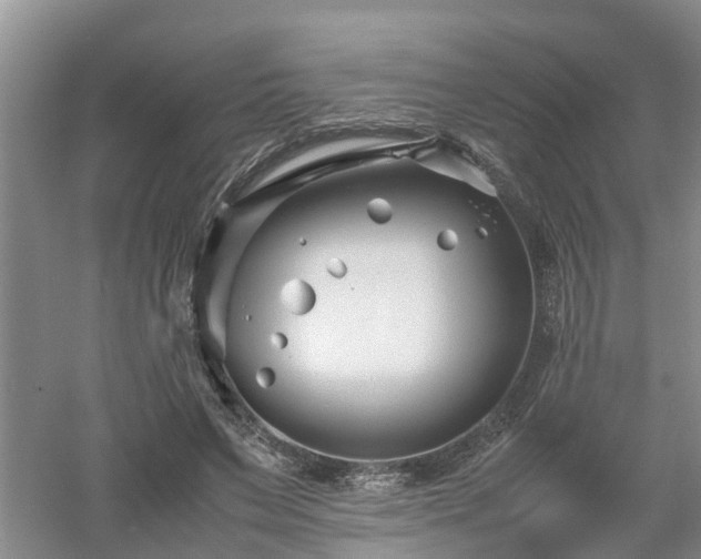 X0000053010495200507151951