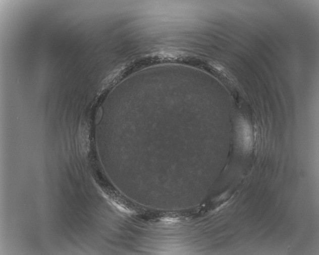 X0000053010496200507151951