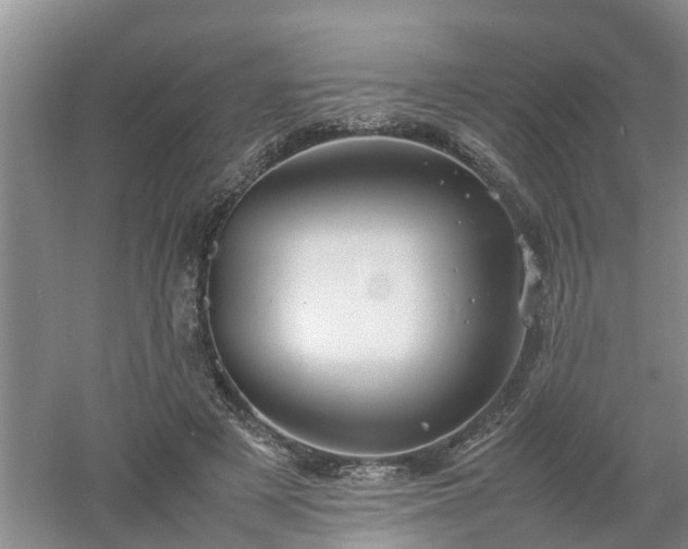 X0000053010497200507151951