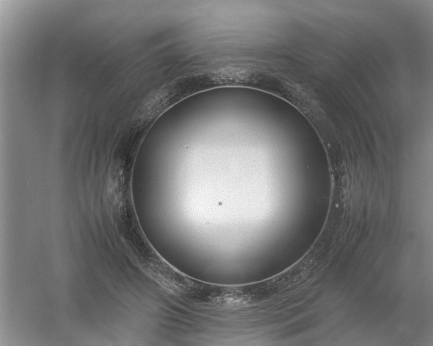 X0000053010498200507151951