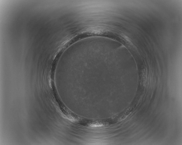 X0000053010500200507151951