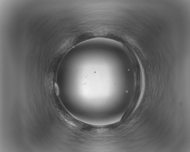 X0000053010501200507151951