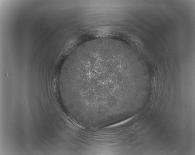 X0000053010503200507151951