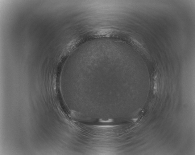 X0000053010504200507151951