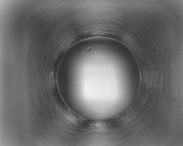 X0000053010506200507151951