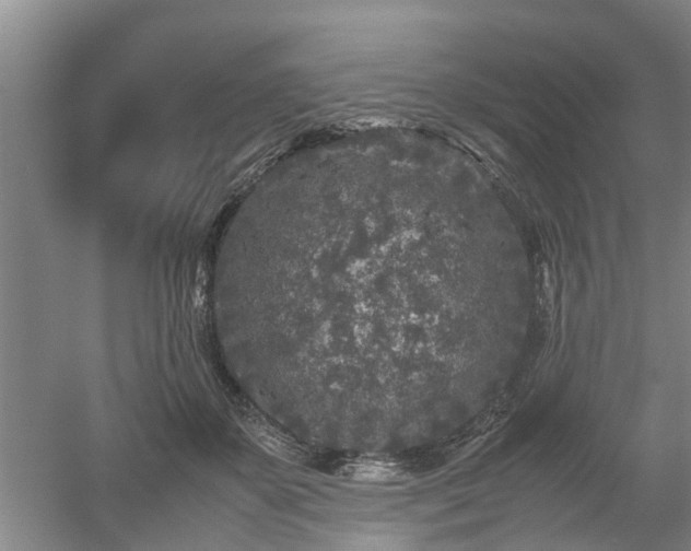 X0000053010507200507151951