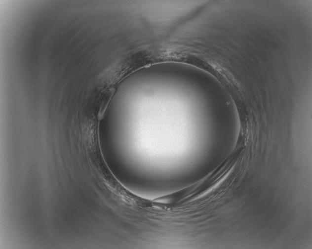 X0000053010513200507151951