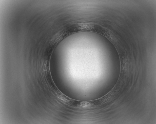 X0000053010514200507151951