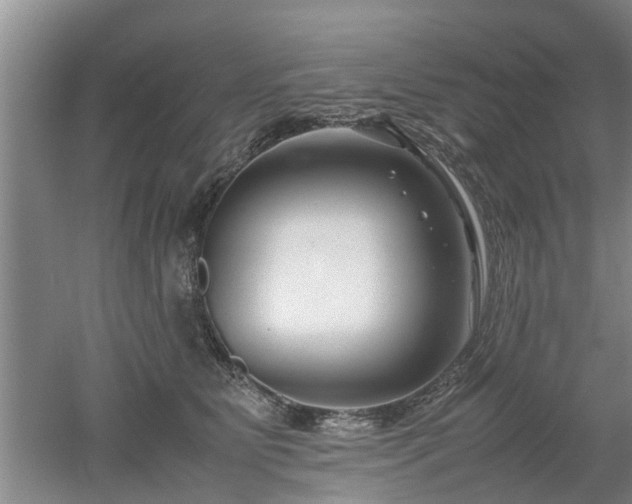 X0000053010515200507151951