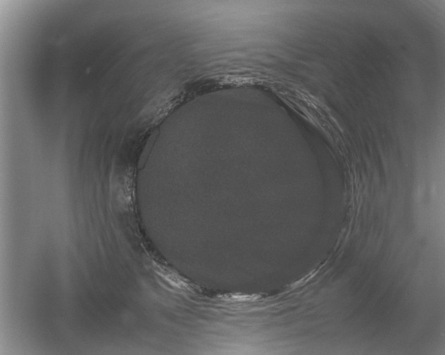 X0000053010517200507151951