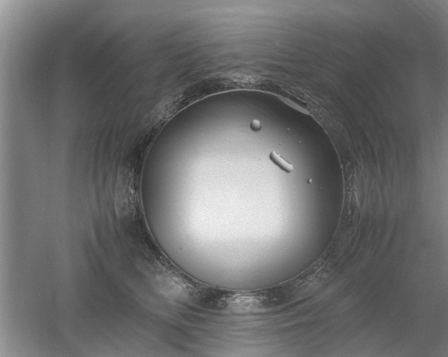 X0000053010518200507151951