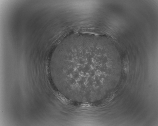 X0000053010519200507151951