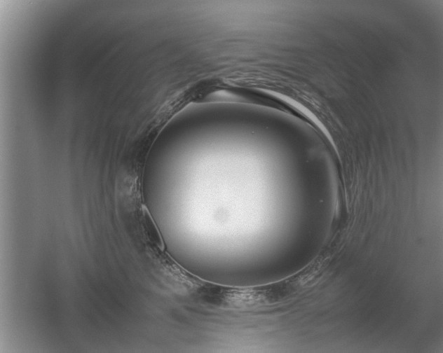 X0000053010521200507151951